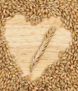 پیشگامان صنعت مالت تولید کننده عصاره مالت جو (11)